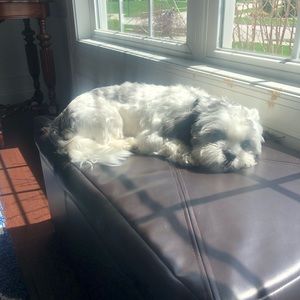 Meet your Posher, Carla